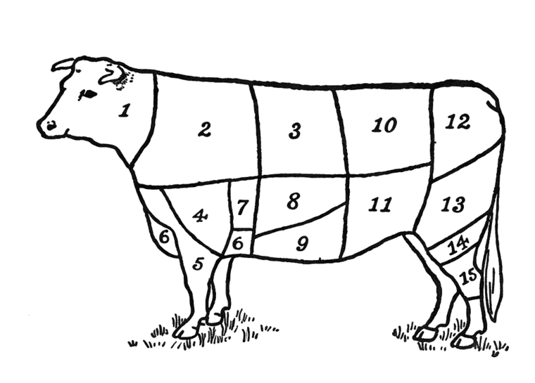 Vintage butcher's diagram - beef cuts