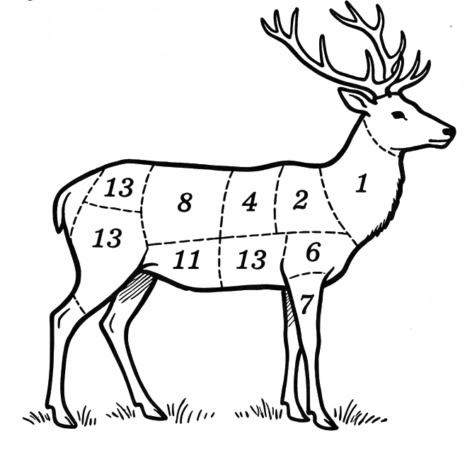 Vintage butcher's diagram - venison cuts