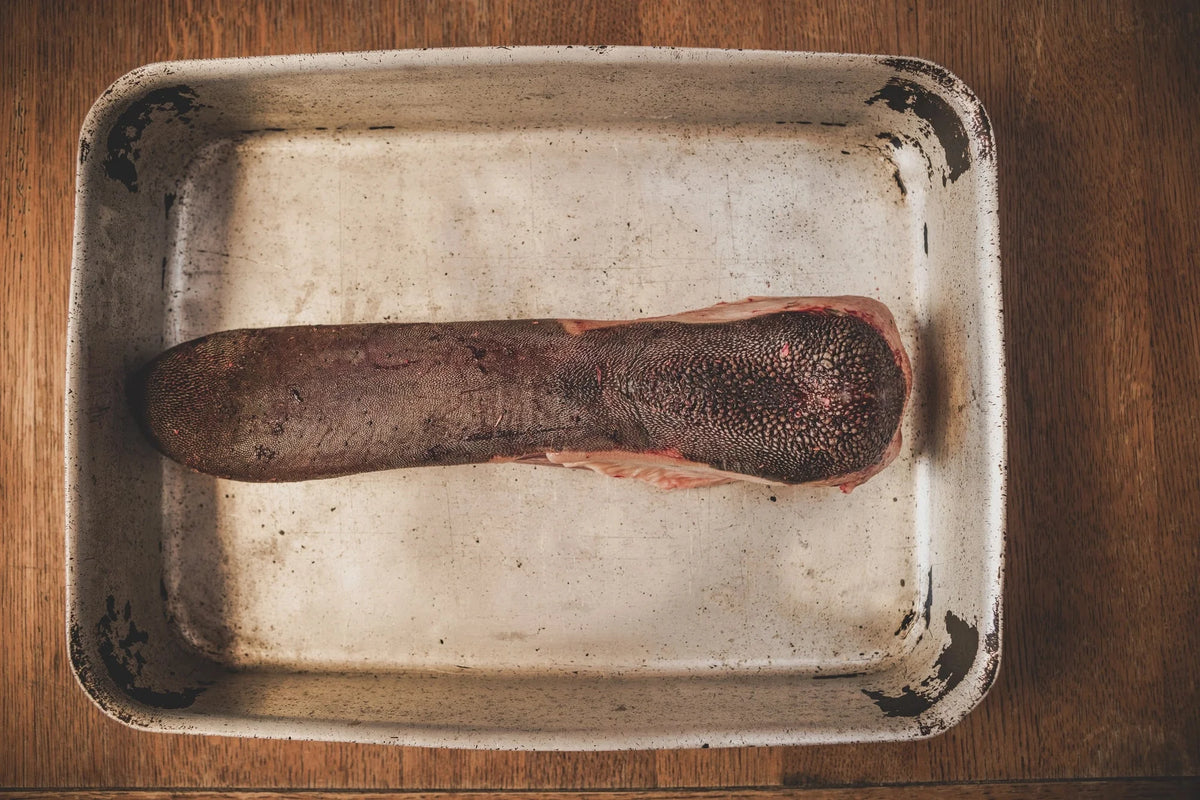 Grass Fed Ox Tongue