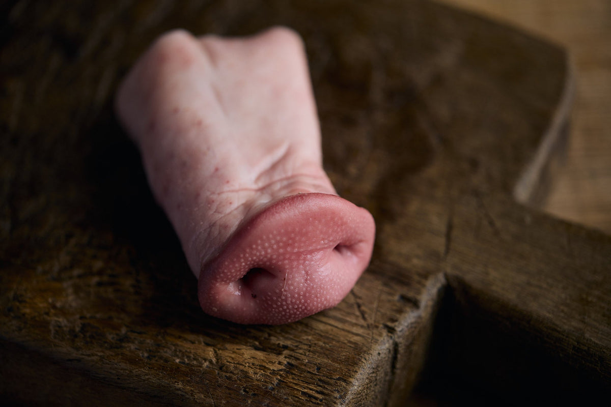 Pigs Snout