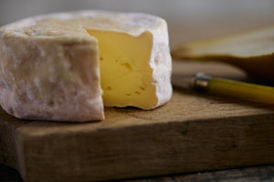 Solstice Cheese