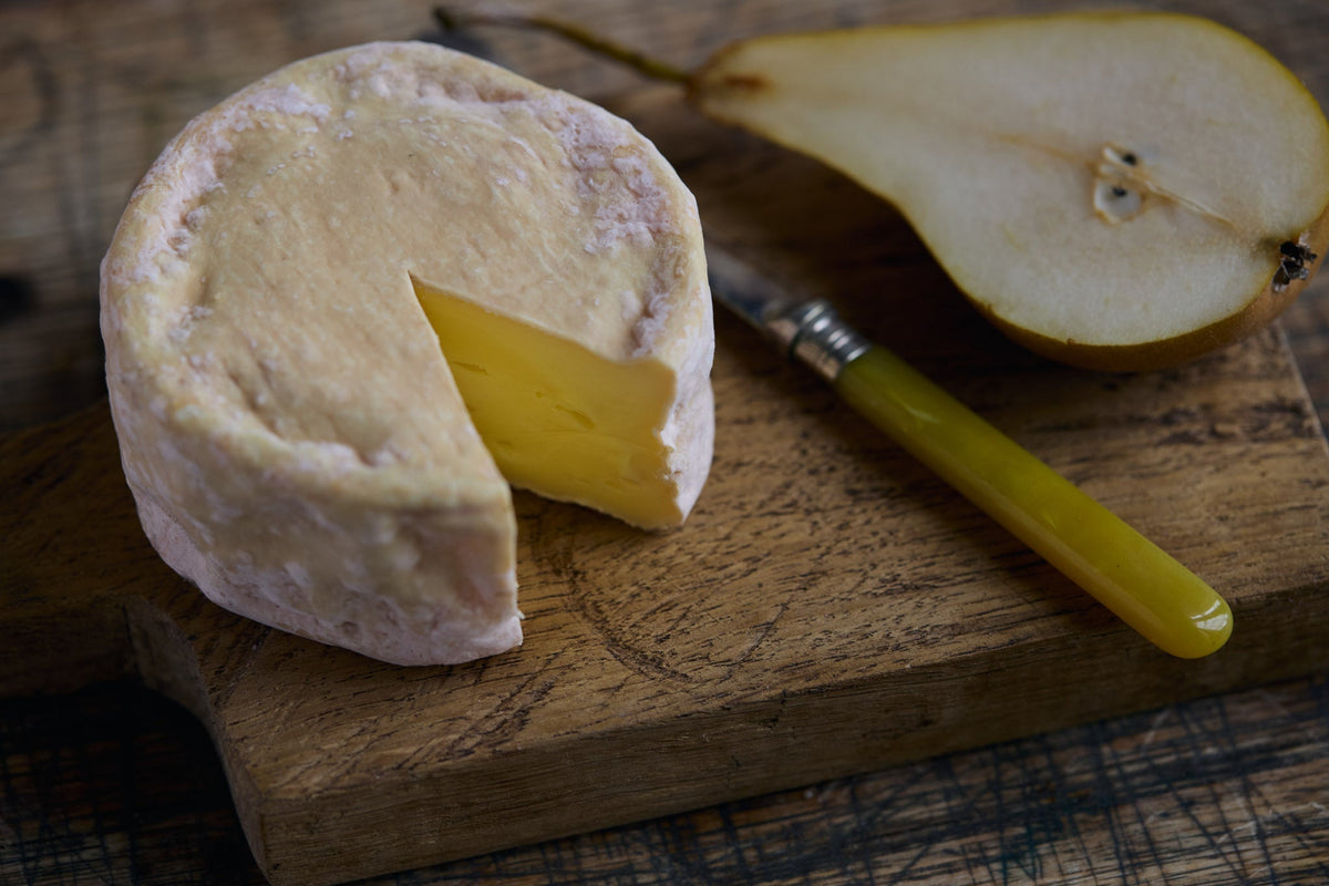 Solstice Cheese
