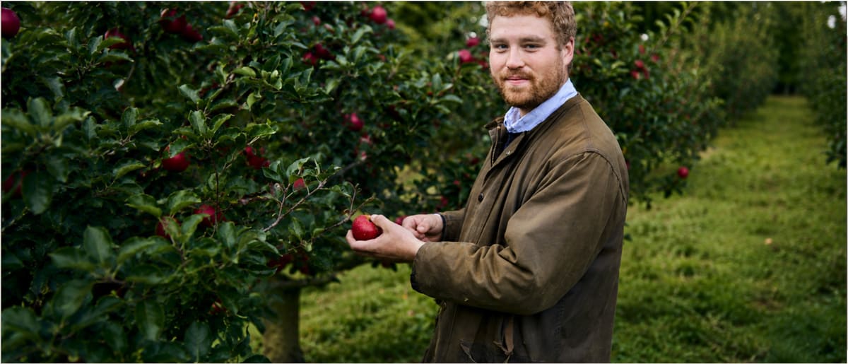 Ben in the orchard