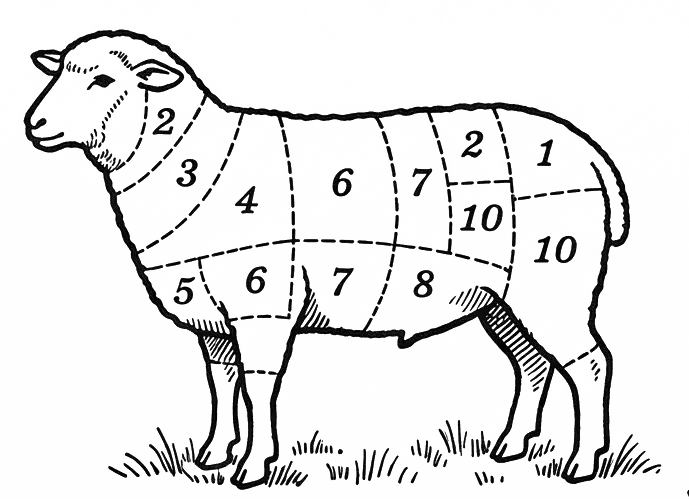 Vintage butcher's diagram - lamb cuts