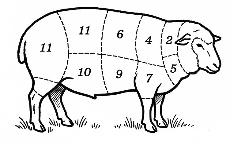 Vintage butcher's diagram - mutton cuts
