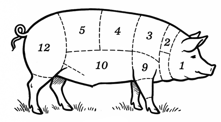 Vintage butcher's diagram - pork cuts